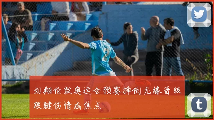 刘翔伦敦奥运会预赛摔倒无缘晋级跟腱伤情成焦点