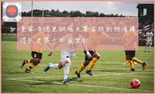 皇家马德里欧冠决赛击败利物浦捧得队史第十四座奖杯