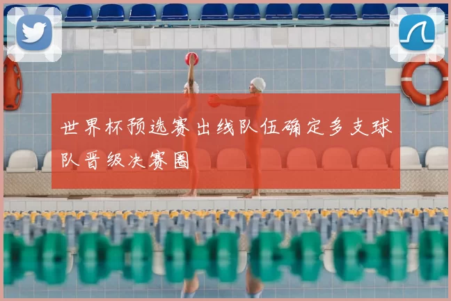 世界杯预选赛出线队伍确定多支球队晋级决赛圈