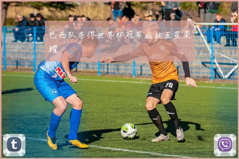 巴西队夺得世界杯冠军成就五星荣耀
