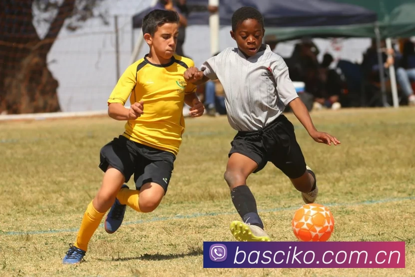 九游j9在线官网 - 九游j9(中国)APP 封面图